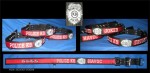 1.5" K9 Collar, Stripe & Embroidery on Stripe, & Badge